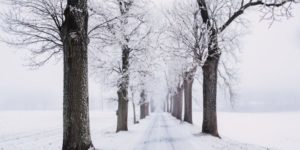 Tips for Surviving the Winter with Parkinson’s