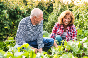 Dirt Therapy – Benefits of Gardening with Parkinson’s